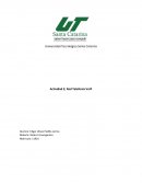 Actividad 2; Red Telefonía VoIP