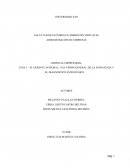 GUÍA 1 – EL GERENTE INTEGRAL, UNA VISIÓN GENERAL DE LA ESTRATEGIA Y EL DIAGNÓSTICO ESTRATÉGICO