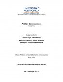 Análisis del comportamiento del consumidor