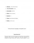 Resistencia indígena