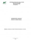Adquisición del lenguaje