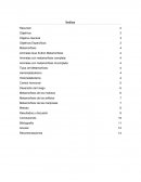 Metamorfosis. Animales Que Sufren Metamorfosis