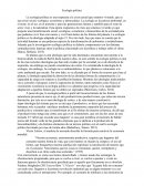 Mini Análisis ecologia política