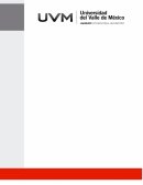 Exportacion de cerveza Heineken Pilsener