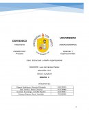 Caso: Estructura y diseño organizacional