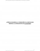 Transición de la mentalidad renacentista en La Celestina