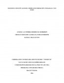 NUCLEO DE APOYO CONTABLE Y FISCAL