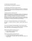 Ensayo de empresas de servicios turisticos