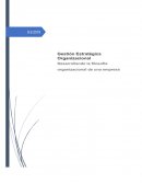Diagnostico Interno y Externo de la Escuela Dos Mundos y Estrategias