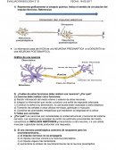 EVALUACION BIOLOGIA 3° B