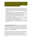 Las exportaciones peruanas a Rusia