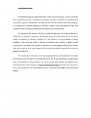 Proyecto vino de café