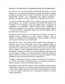 Resumen Megaminas
