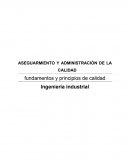 Fundamentos y Principios de la Calidad