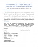 Análogos de azol y pirimidina