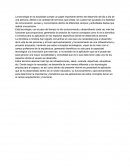 La tecnología en la actualidad