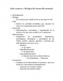 ETAPAS DEL DESARROLLO PRENATAL