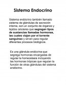 Sistema endocrino. Hormonas que produce