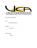 Problemática social que incide en el uso de las drogas en los jóvenes de 16 a 20 años en el colegio técnico profesional de Siquirres