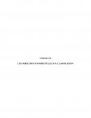 LOS DERECHOS FUNDAMENTALES Y SUS GARANTIAS EN LA R.D.