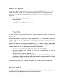 Derecho constitucional. Agentes de comercio