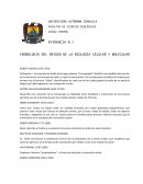CRONOLOGÍA DEL ORIGEN DE LA BIOLOGÍA CELULAR Y MOLECULAR