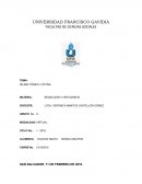 Guia Silaba Tonica y Atona