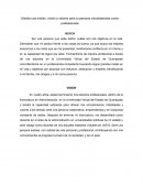 Diseña una misión, visión y valores para tu persona visualizándote como profesionista