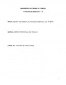 CONTRATOS ESPECIALES Y DERECHO ESPECIAL DEL TRABAJO