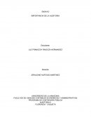 IMPORTANCIA DE LA AUDITORIA