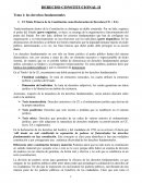 Tema 13 Derecho Constitucional II