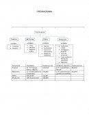 Sistema de Producción del Guante