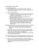 Ensayo académico: Primera entrega
