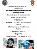 Tecnologías de información para los negocios Evidencia#1