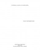 La Informática y su relación con la contaduría pública