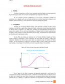 Caso 2 JOYERIA M. PINEDO SAC (año 2017)