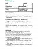 Tarea: Actividad 5. Estrategia de desarrollo