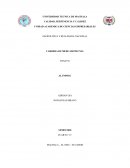 GEOPOLITICA Y REALIDAD NACIONAL