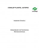 Mercado, ley de oferta y demanda y curva