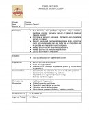 Descripción de puestos completo