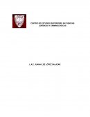 Análisis de mercado: parámetros de desarrollo en una estrategia de mercadotecnia para posicionar la imagen de Grupo LopSal en Morelia