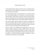 Ensayo Normas en Redes