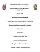 Modelo de la bomba de sodio y potasio Equipo No. 6