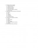 Feminicidio, teoría y conceptos