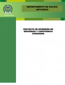 Proyecto de inversion en seguridad y convivencia ciudadana