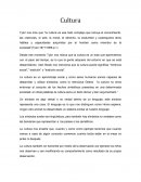 Cultura. Los niveles de la cultura