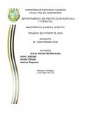 TRABAJO DE FITOPATOLOGÍA