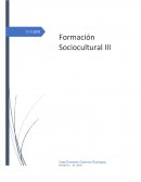 FORMACION SOCIOCULTURAL III ANALISIS CRITICO NEXUS