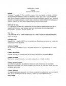 TEORÍA DEL COLOR Reporte