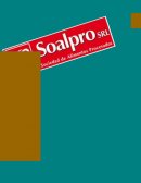 Análisis de la empresa SOALPRO SRL